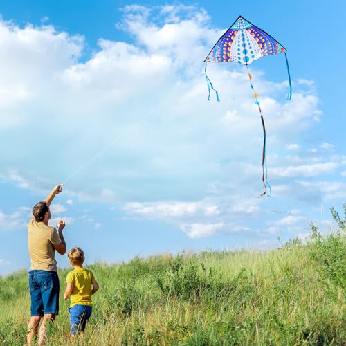 Honbo Large Delta Kite for Kids & Adults - Dots Pattern, Easy to Fly Beach Kite, Colorful Tail, Beginner Friendly, 53.5x30.3in