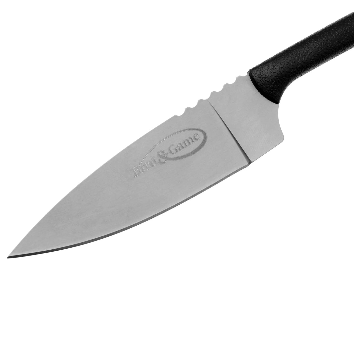 Cold Steel Bird & Game 3.5" Lightweight Durable Japanese AUS8A Stainless Steel Fixed Blade Drop Point Outdoor Hunting Neck Knife, Resistant Secure-Ex Sheath