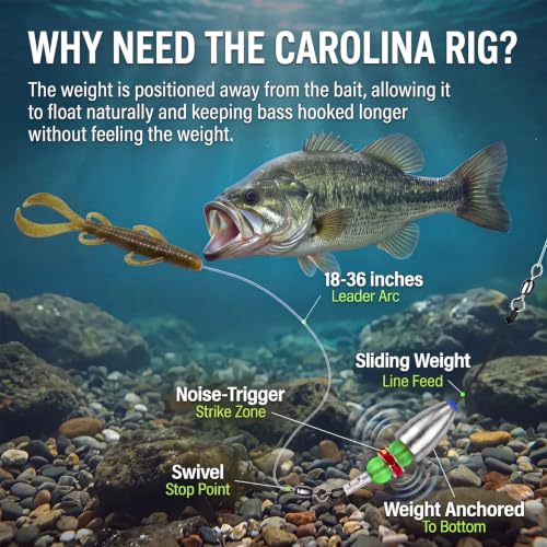 Carolina Rig Fishing Set - Pre-Rigged 3/8oz Rigs with Weights & Beads - 5 Pack