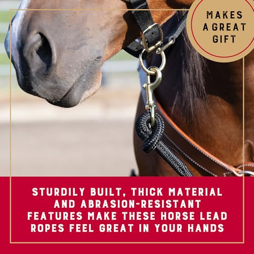 10' Black Horse Lead Rope with Brass Snap - Comfortable Grip
