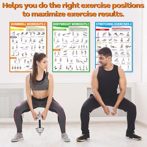 6PCS Colorful Workout Posters Set for Home Gym - Exercise Charts