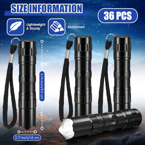 36 Pcs Mini Flashlights Bulk Bright Aluminum LED Handheld Torches with Lanyard Small LED Flashlights for Night Reading Emergency Hurricane Camping Hiking Halloween Party Favors(Black)