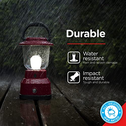 Enbrighten LED Large Camping Lantern, Battery Powered, USB Charging, 800 Lumens, 200 Hour Runtime, Carabiner Handle, Hiking Gear, Emergency Light, Blackout, Storm, Hurricane