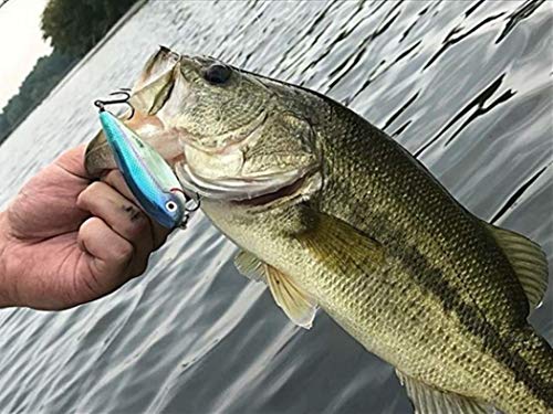 Spit'N Image Fleeing Shad Crankbait Fishing Lure - Tennessee Shad, 3.25 Inch
