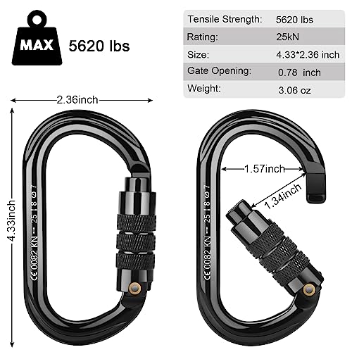 FVW CE Certified Auto Locking Carabiner 25kN 5620lbs Large D-Shaped Black
