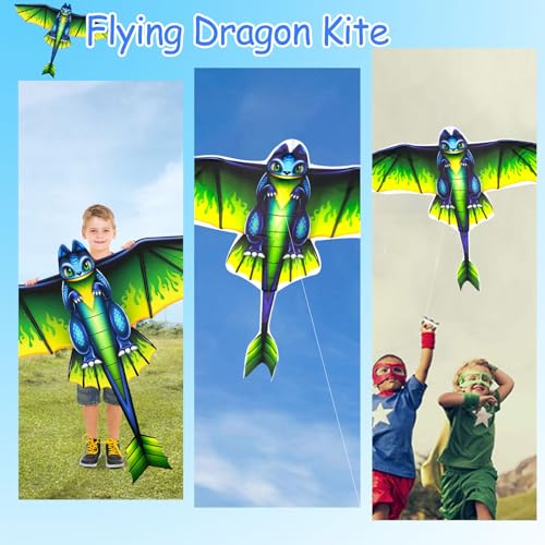 Multi Color Dragon Kite for Kids & Adults - Easy Fly Rainbow & Eagle Kites