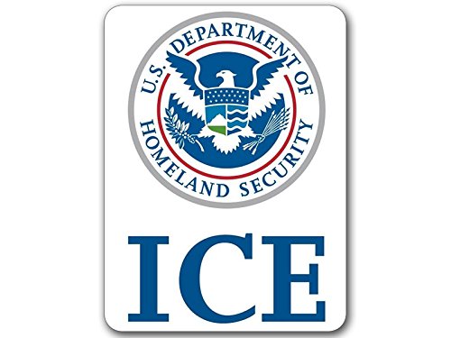 ICE Logo Sticker - High Quality Vinyl Decal (3 x 4 Inch)