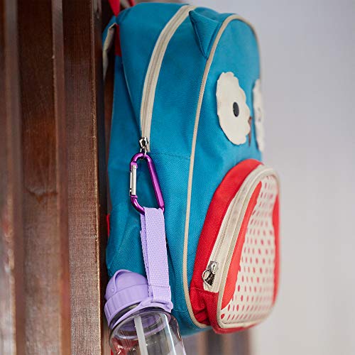Lightweight Carabiner Clips Set - 6 Assorted Colors