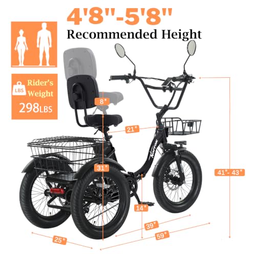 Folding Electric Tricycle for Adults - 1100W, N6-B Model