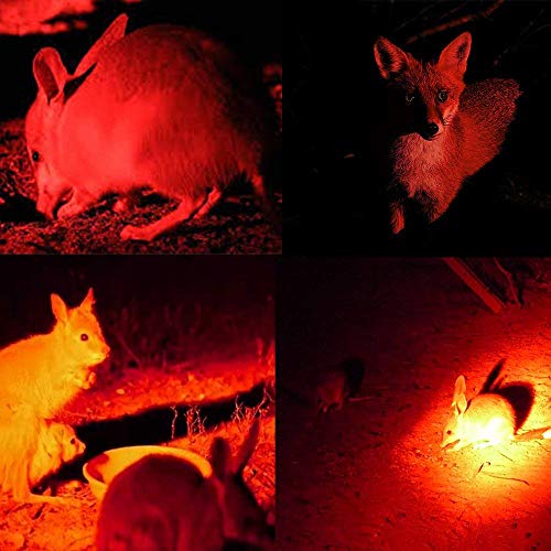 BESTSUN 350 Yard Red Light Predator Light Zoomable Long Range Night Hunting Coyote Varmint Light Tactical Hunting Led Flashlight with Pressure Switch, Picatinny & Scope Mounts, Rechargeable Batteries