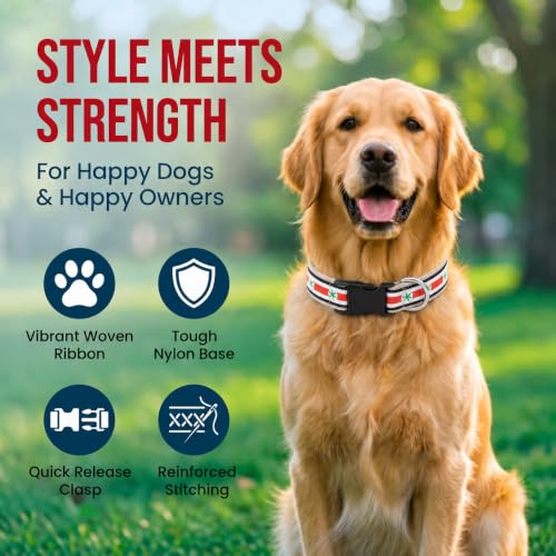 Ohio State Adjustable Dog Collar for Large Dogs - Multicolored Helmet