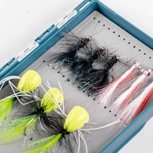 SF Magnetic Streamer Fly Box with Clear Lid – 7x4.02x0.91 in, Holds 51 Flies, Polycarbonate, Foam B, Clear Streamer