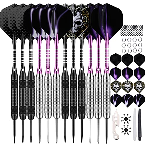 DARTSPACE 12 Pack Black & Purple Metal Tip Darts Set 22/24g with Aluminum Shafts