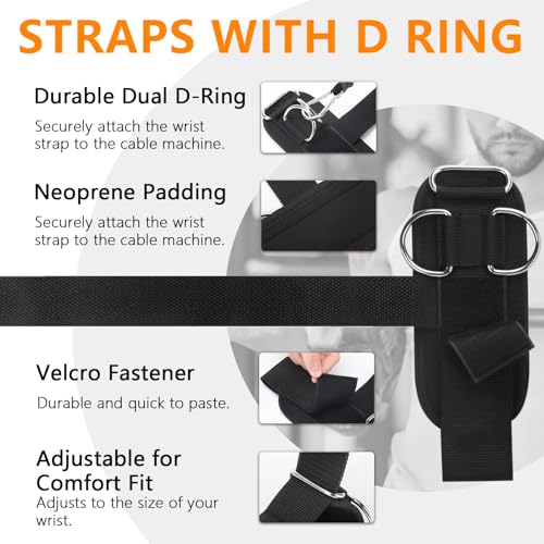 Weight Lifting Straps with Dual D-Rings for Cable Machines & Deadlifts