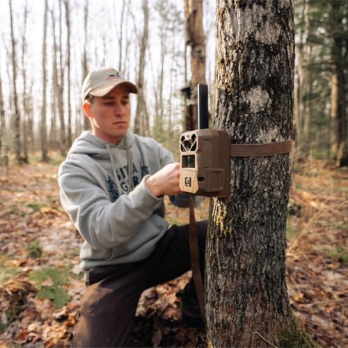 40MP Cellular Trail Camera 2-Pack | HD Photos & Video, GPS