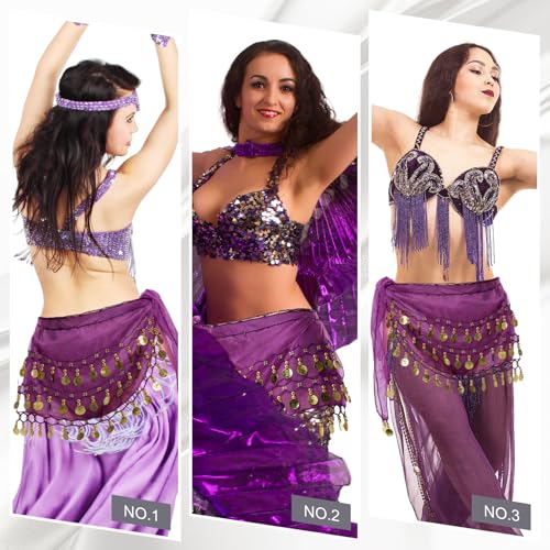 Belly Dance Hip Scarf Outfit - 3-Layer Gold Coin Design, Purple