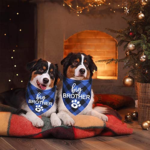 Big Brother Dog Bandana - Blue Plaid Pregnancy Announcement
