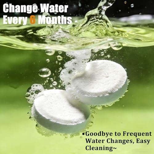 Water Purification Tablets - 6 Pack for Rowing Machine Maintenance
