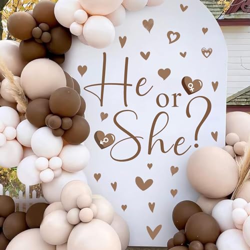 Gender Reveal Party Decals He or She What Will Baby Be Decorations for Balloon Arch Babies Gender Signs Oh Baby Shower Sign Backdrop Decal Girl or Boy Party Supplies Vinyl Sticker for Pregnacy Banner