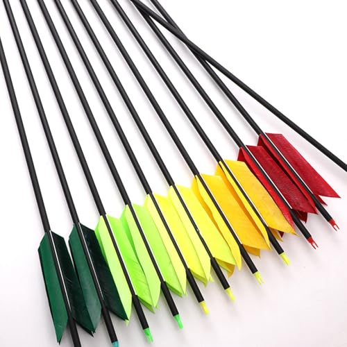 31 Inch Carbon Arrow with Turkey Feathers for Hunting & Target Practice - Spine 500