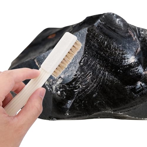 Bouldering Brush with Boar's Hair Bristles and Long Handle