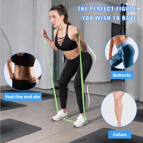 Hshbxd Gradient Gray 5-Pc Resistance Bands Set for Physical Therapy, Yoga & Pilates 10-115 lbs