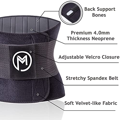 Waist Trimmer with Back Support - Sweat Belt for Men & Women - Black / M