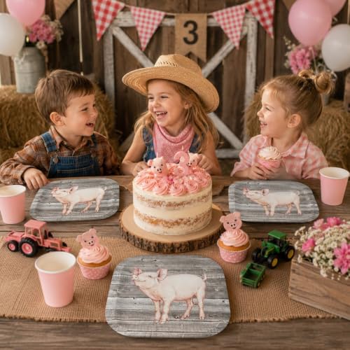 Havercamp Pig Barnwood Plates - 24 Pack, 9 Inch Farm Theme Party Plates