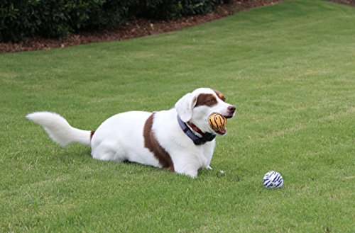 Dog Fetch Squeaker Balls - Animal Prints 4 Pack