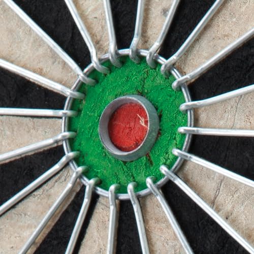 Regulation Dartboard Set with 6 Steel Tip Darts - Shot King