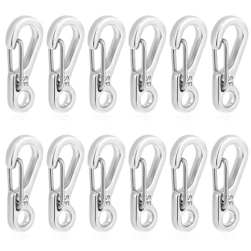 12 Pcs Mini Carabiner Clips - Stainless Steel Keychain Hooks