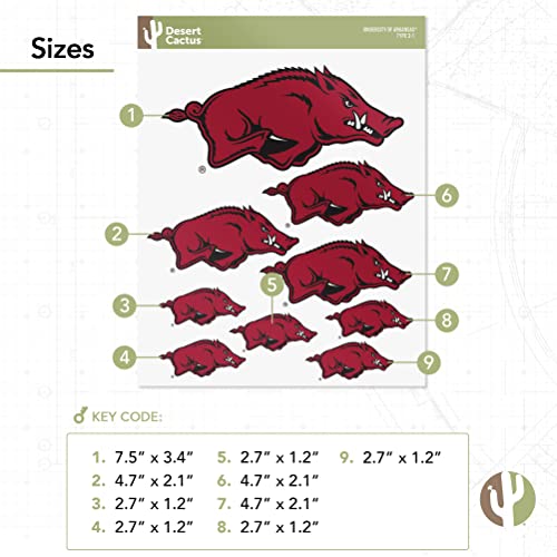 Arkansas Razorbacks T3-1 Desert Cactus Vinyl Sticker Decal College Fan Gear