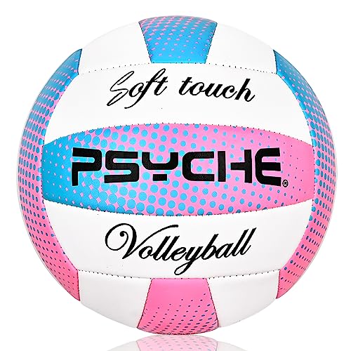 Wisdom Leaves Official Size 5 Volleyball - White/Blue/Pink, Indoor/Outdoor Beach Play