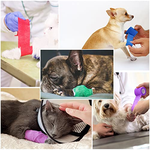 Self-Adhesive Bandage Wraps - 12 Pack Multicolor, 1 Inch x 5 Yards