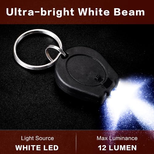 Ultra Bright Mini LED Keychain Flashlight - White Light, 6 Pack