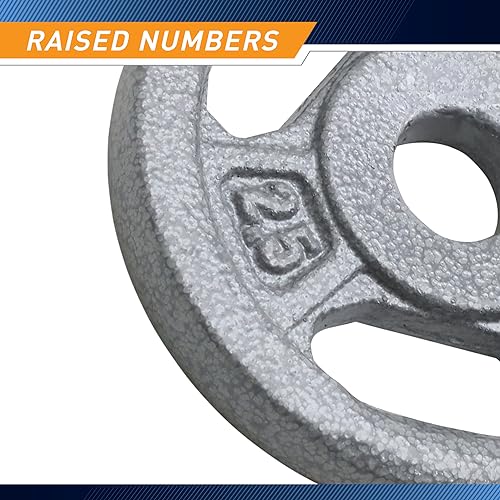 2.5 lb Cast Iron Standard Grip Plates for Strength Training