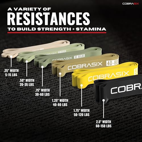 COBRASIX 6-Piece Resistance Band Set with Handles & Door Anchor for Full-Body Workout