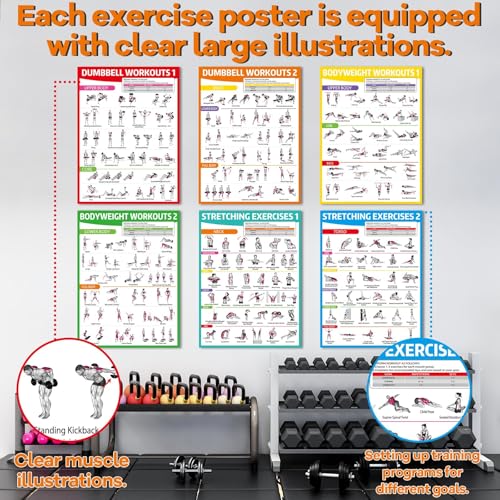 6PCS Colorful Workout Posters Set for Home Gym - Exercise Charts