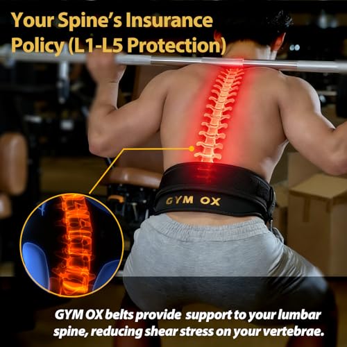GYM OX 2-in-1 Weightlifting & Dip Belt Black S (24-27.5") with Quick-Release Buckle