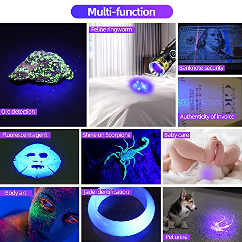395nm UV Blacklight Flashlight - Mini Handheld Tool D15-UV 1-Pack