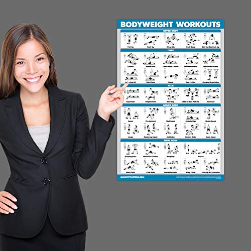 Muscle Workout Charts Set - 4 Laminated Posters 18" x 24"
