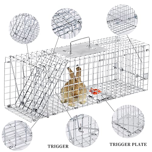24 Inch Live Animal Trap - Durable Galvanized Steel, Easy Setup, Compact 24x7x8 Inches