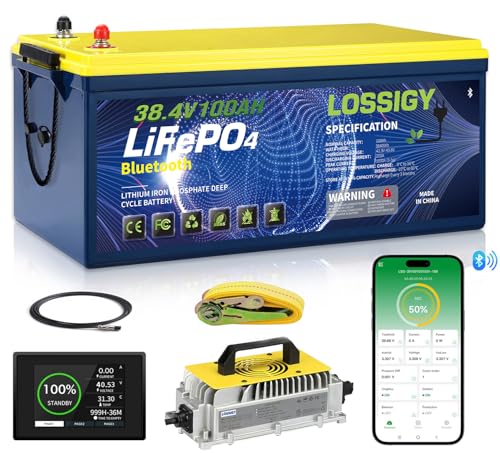 36V Lithium Golf Cart Battery 100Ah with Charger - RC 36V100AH+C&M