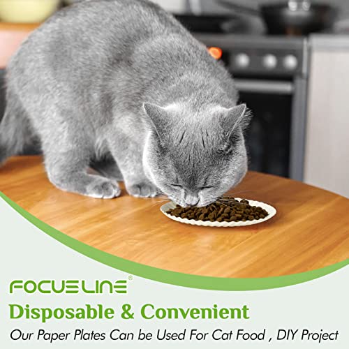 FOCUSLINE 6 Inch Disposable Paper Plates 500 Pack White Uncoated for Events & Parties
