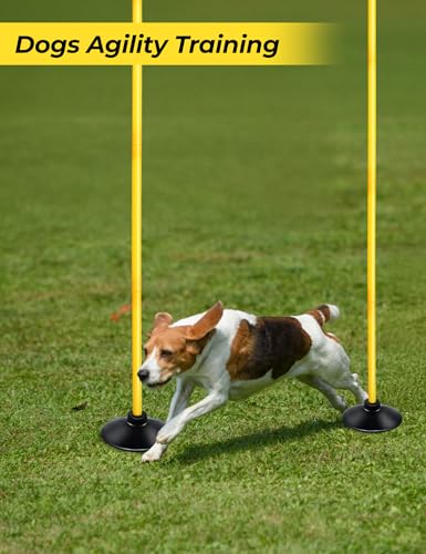 Soccer Agility Poles Set - 4/6/10 Pcs 6ft Adjustable Speed Training Poles with Rubber Base