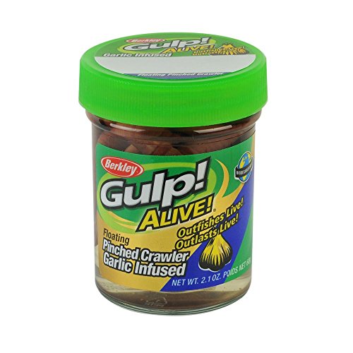 Floating Pinched Crawler Fishing Soft Bait - Nightcrawler 2in