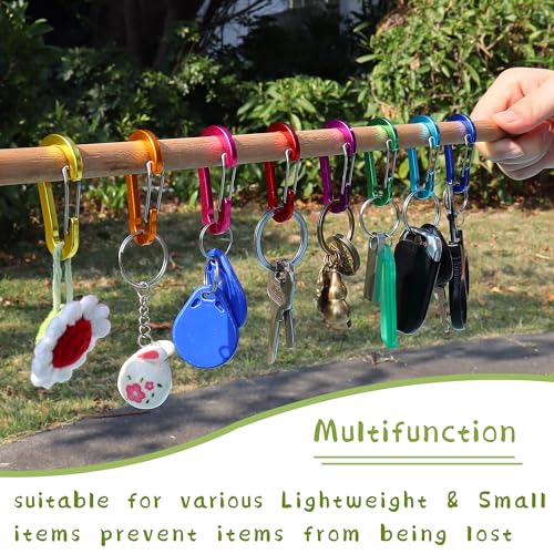 Mini Aluminum Carabiner Clip - Lightweight D-Shape for Keychain - Multicolour
