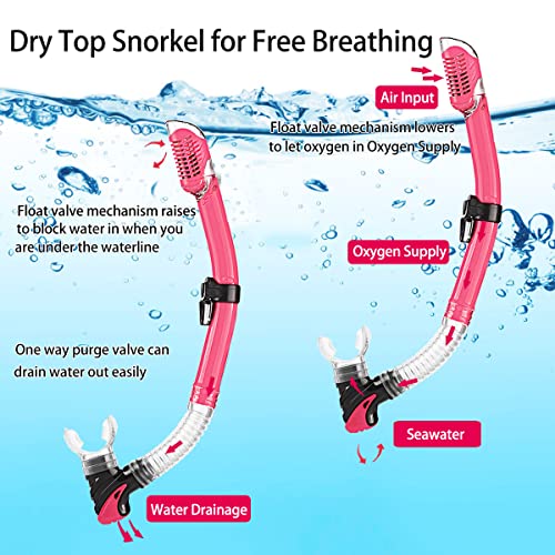 Snorkeling Gear Set for Adults - Anti-Fog Mask, Fins & Bag - Pink, US Men 4-8.5 | US Lady 6-9.5