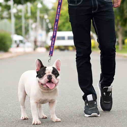 NBA New York Knicks Dog Leash - Medium Heavy-Duty Nylon