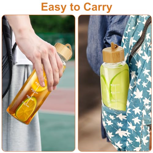 17oz Borosilicate Glass Water Bottle with Lid & Time Marker